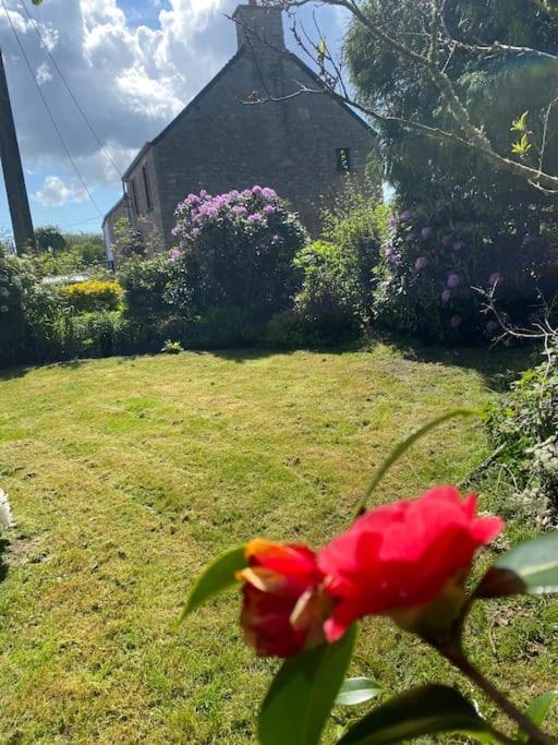 Jolie Maison A La Campagne « Chez Germaine » Digosville Kültér fotó